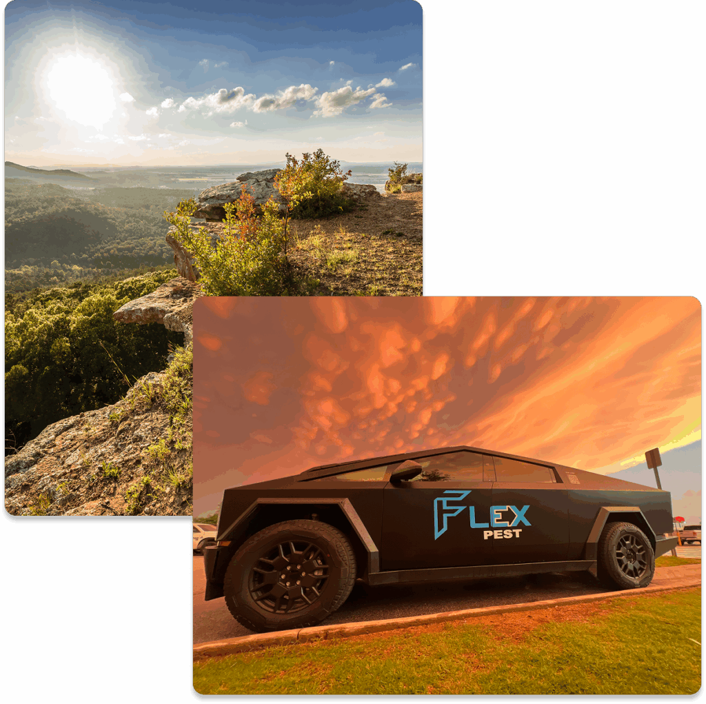 a cybertruck with the flex pest logo on it