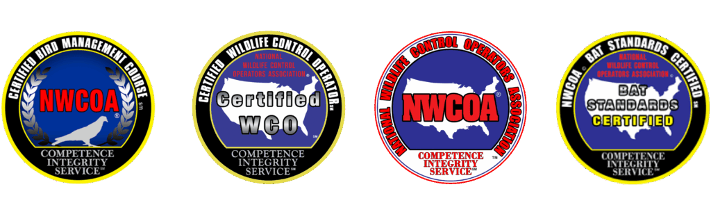 Wildlife Certifications